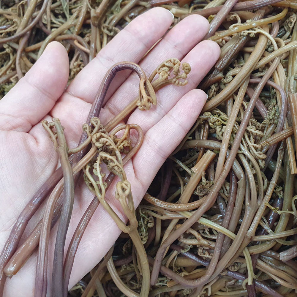 싸리재 국산 고사리 불린 고사리나물 300g