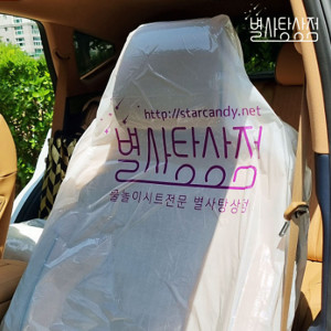 자동차 시트 물놀이 일회용 방수 비닐 등산 성묘 필수품